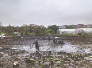 景德镇河道鱼塘清淤